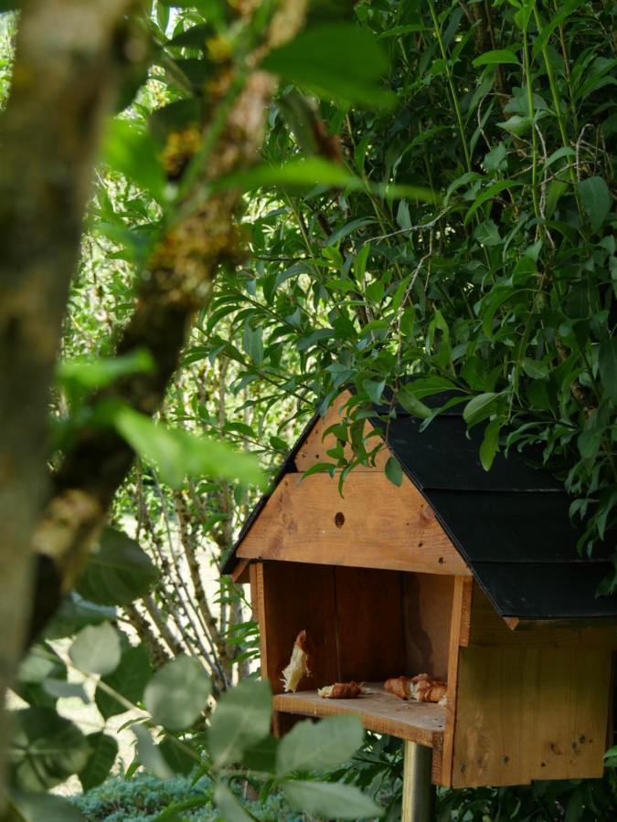 La Maison Des Oiseaux Vandrimare المظهر الخارجي الصورة